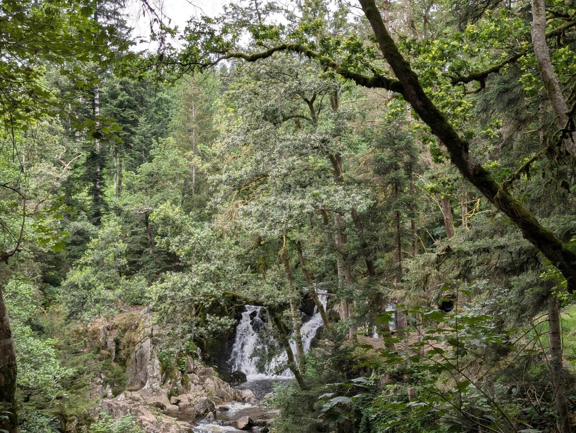 Le Petit Counehet Cornimont Kültér fotó